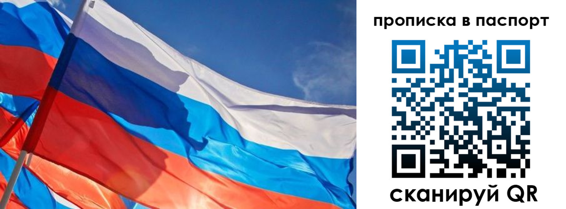 временная регистрация поиск в Калининградской области
